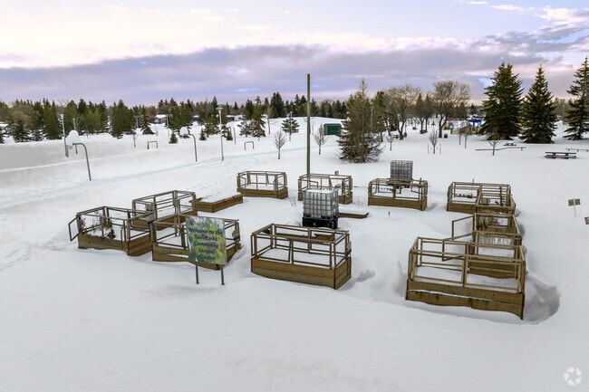 Community League Garden - Maple Oak Ridge