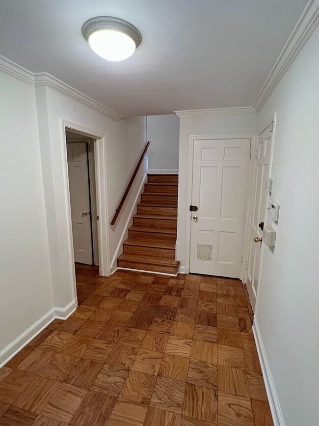 Photo - Berkley Stunner