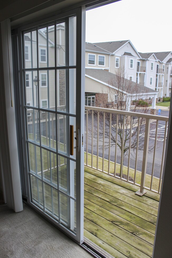 The Shores - 62 + Community