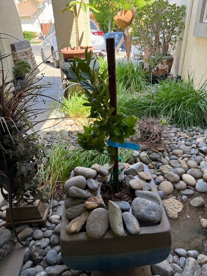 Photo - 3584 Wild Oak Dr