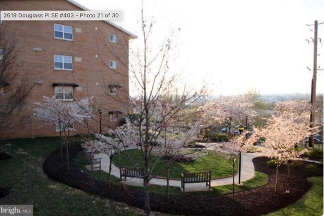 2617 Douglass Pl SE Unit 303