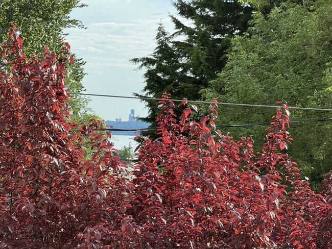 View of Lake Washington - 11430 99th Pl NE Condo Unit 1