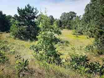 Photo - 1729 N Keystone Rd