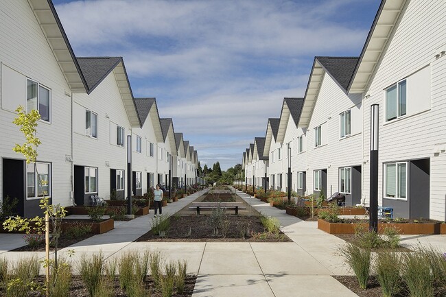 Photo - Broadleaf Arbor