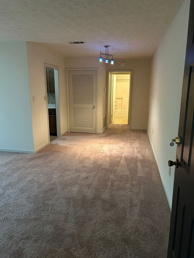 Photo - Campus View Apt-Walking Distance to UGA!
