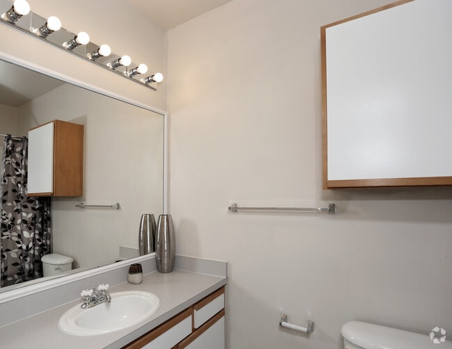 Flats on Chapel Apartments For Rent in Waco, TX