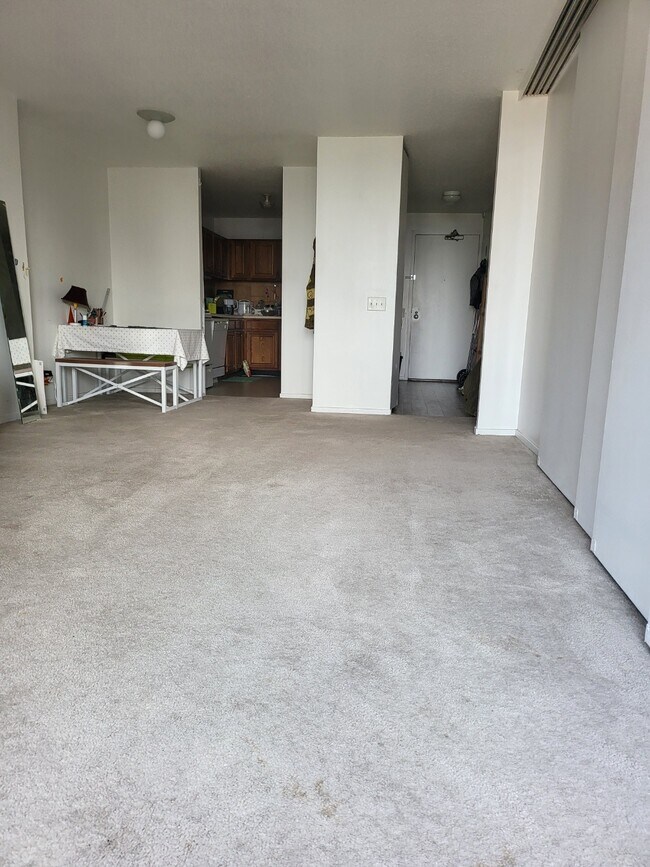 899 S Plymouth Ct Condo Unit 1806 Condo for Rent in Chicago, IL