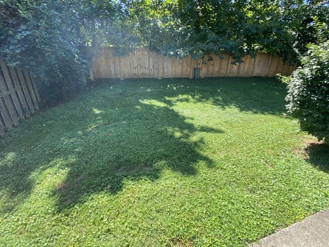 Photo - 4024 Palmetto Dr