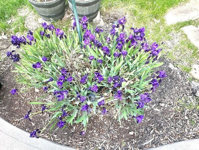 Photo - 18424 Howard St House