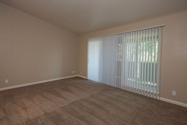 Photo - Castle Hill Apartments