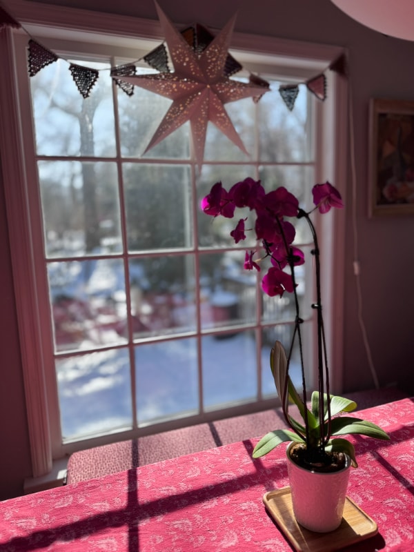 Photo - 1223 Dartmouth Rd