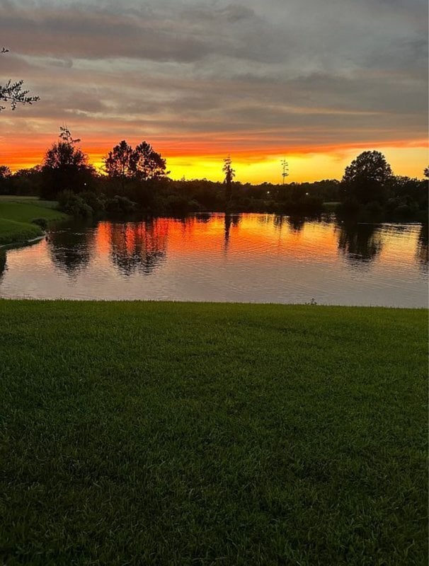 Building Photo - 531 Hedgewood Dr