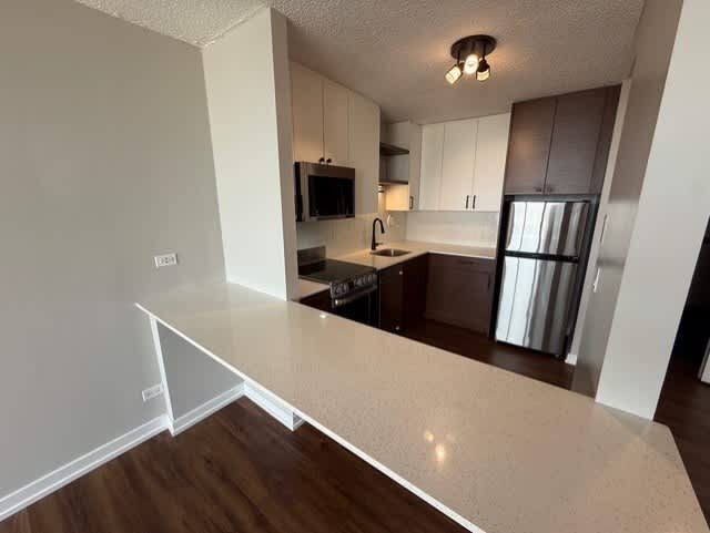 1212 S Michigan Ave Unidad 1507