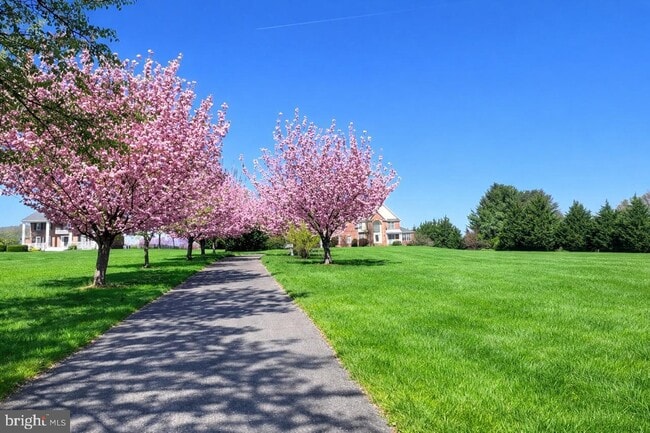 Photo - 13031-13012 12 Hills Rd