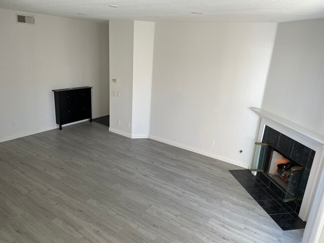 Living room / Enterabce/ Fireplace - 21832 S Vermont Ave Unit 3