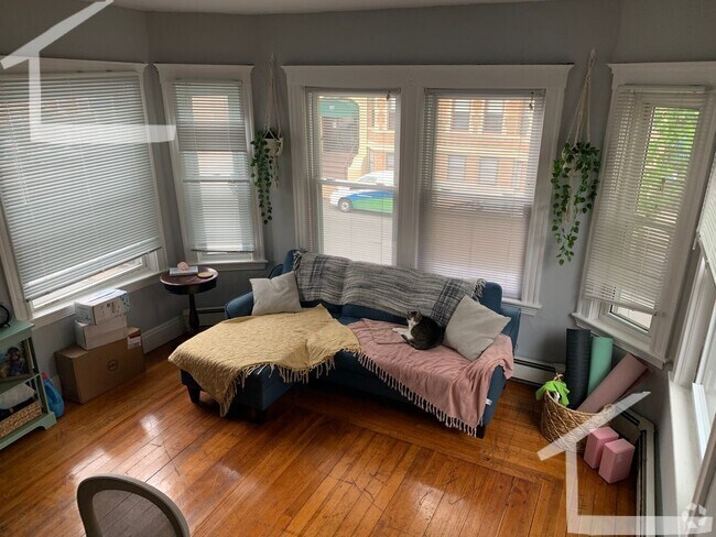 Building Photo - 208 Kelton St Rental