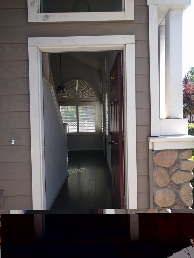 Photo - 5674 Impatiens Cmn Unidad 5674 Impatiens Cmn