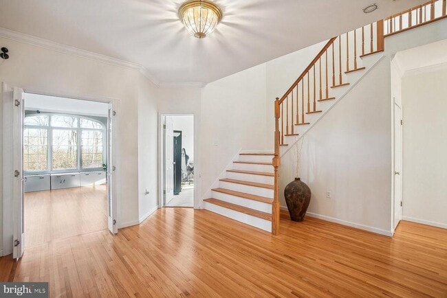 Photo - 26 Spiked Rush Ct