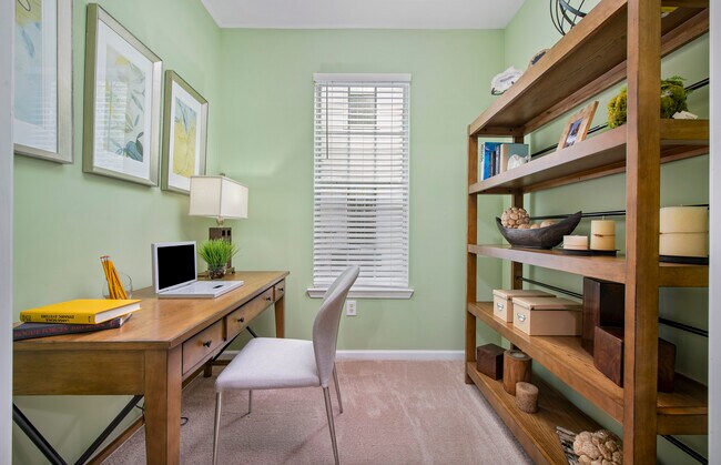 Photo - MAA Preserve