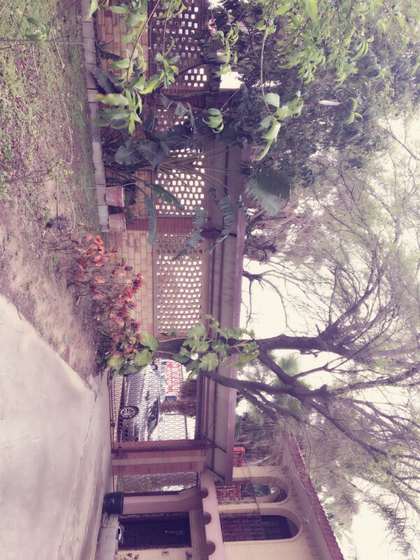 Photo - 100 N Palm Dr