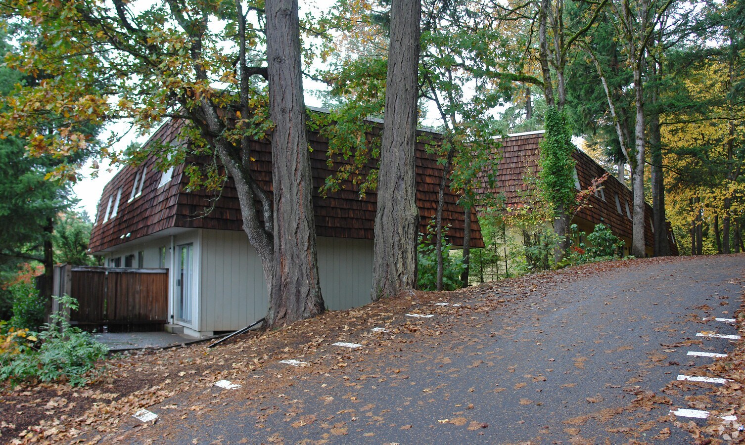Photo - Woodland Terrace