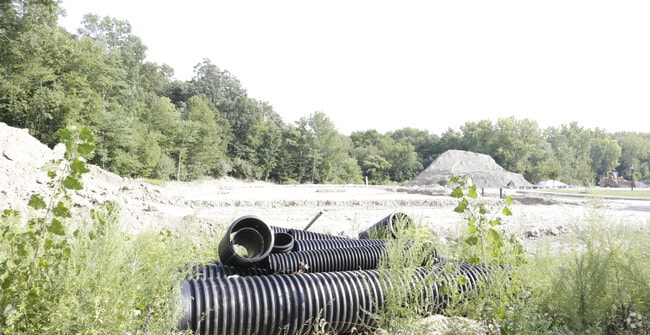 Photo - Newtown Woods