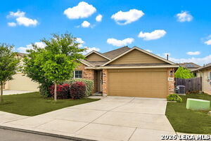 9514 Cord Grass