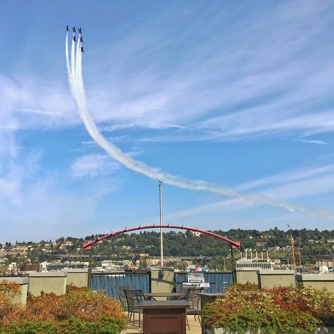 View from the roof