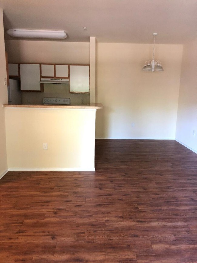 B1 Kitchen/Dining
