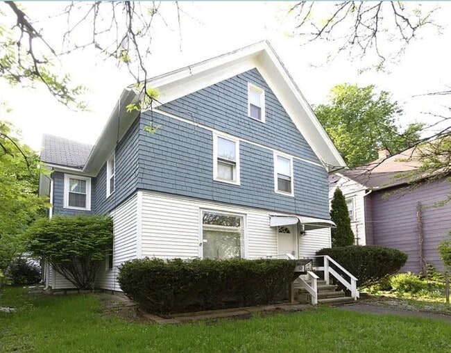 Photo - 63 Murray St