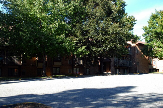 Photo - Windmill Chase