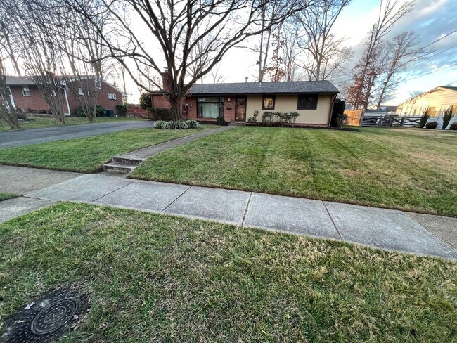 6822 Jerome St - 6822 Jerome St