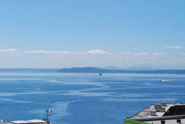 Photo - Belltown Condo...........