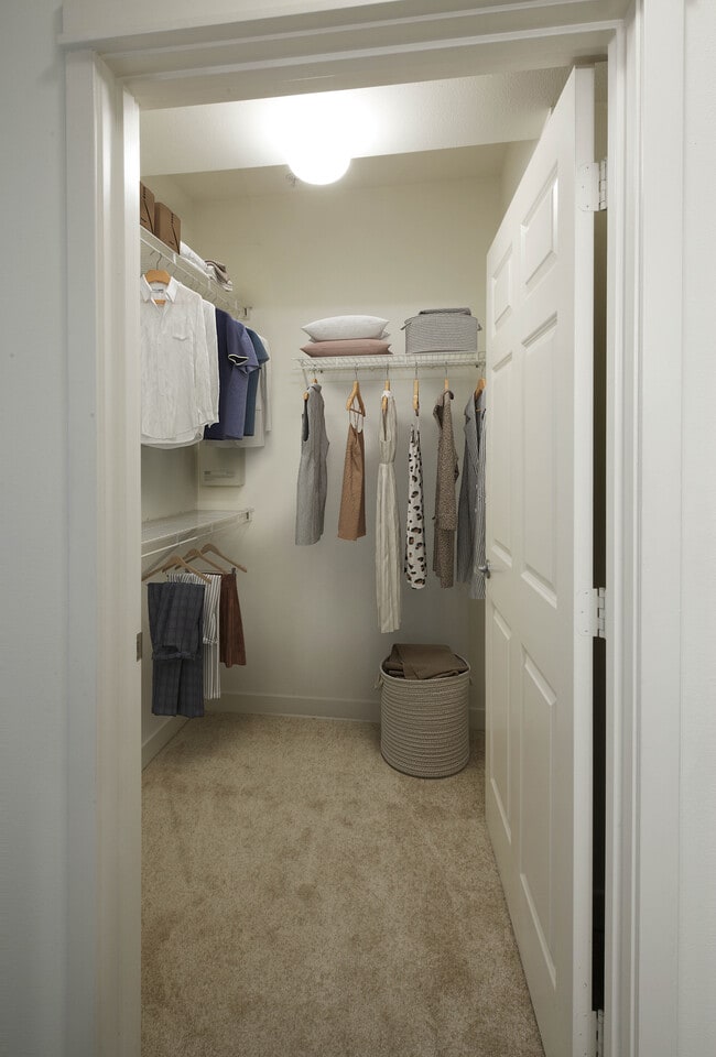 Walk-in closet