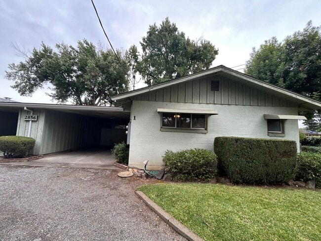 Building Photo - 2856 Calecita Way Unit 2856 Calecita-01