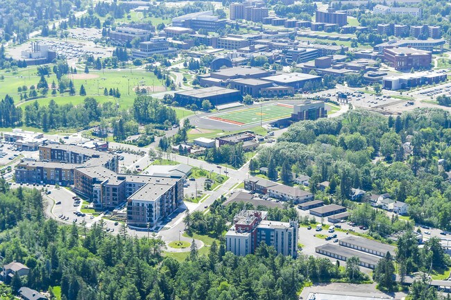 Aerial Shot of the Neighborhood - Mount Royal Manor