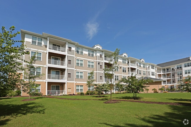Solace Apartments