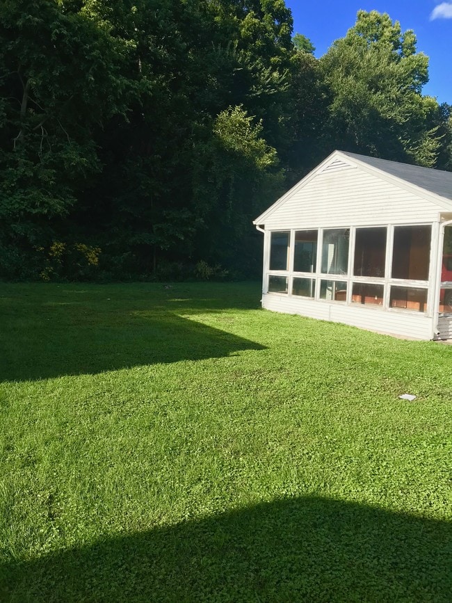 Back yard - 1071 Kaufmann Ave