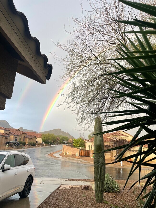 View from front door - 12905 N Mesozoic Dr House