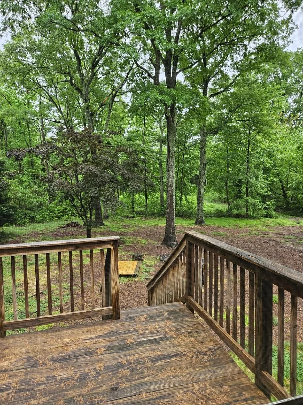 Photo - 167 Waldo Rd