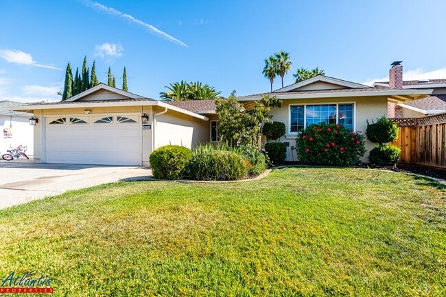 Building Photo - Beautiful Evergreen Home