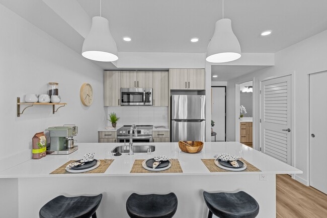 1BR, 1BA - 655SF - Kitchen - Zinnia