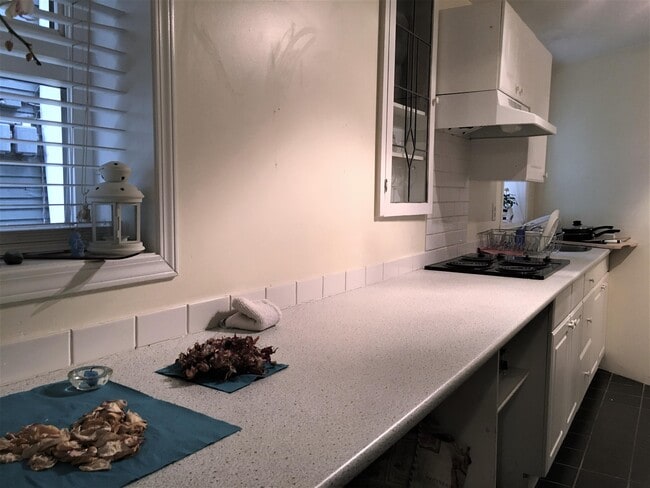 Photo - 1517 Comox St Unit 3