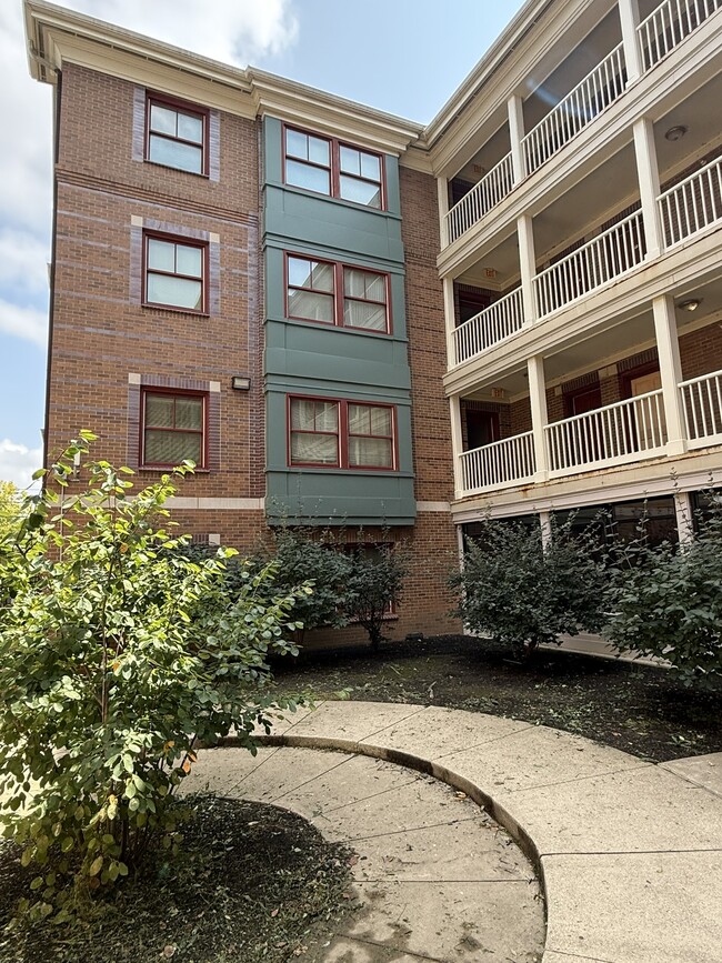 Photo - Cathedral Commons