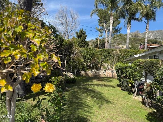 Photo - 5212 New York Ave