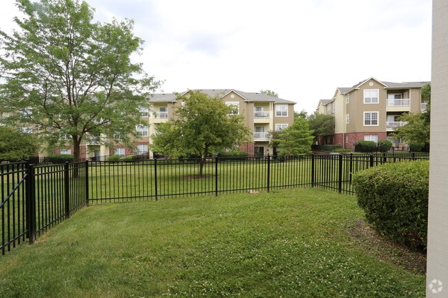 Fenced Yard
