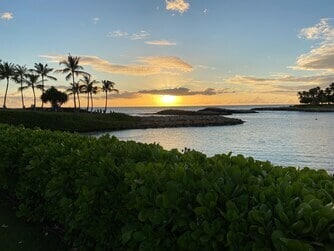 Photo - 1102-1102 Olani St