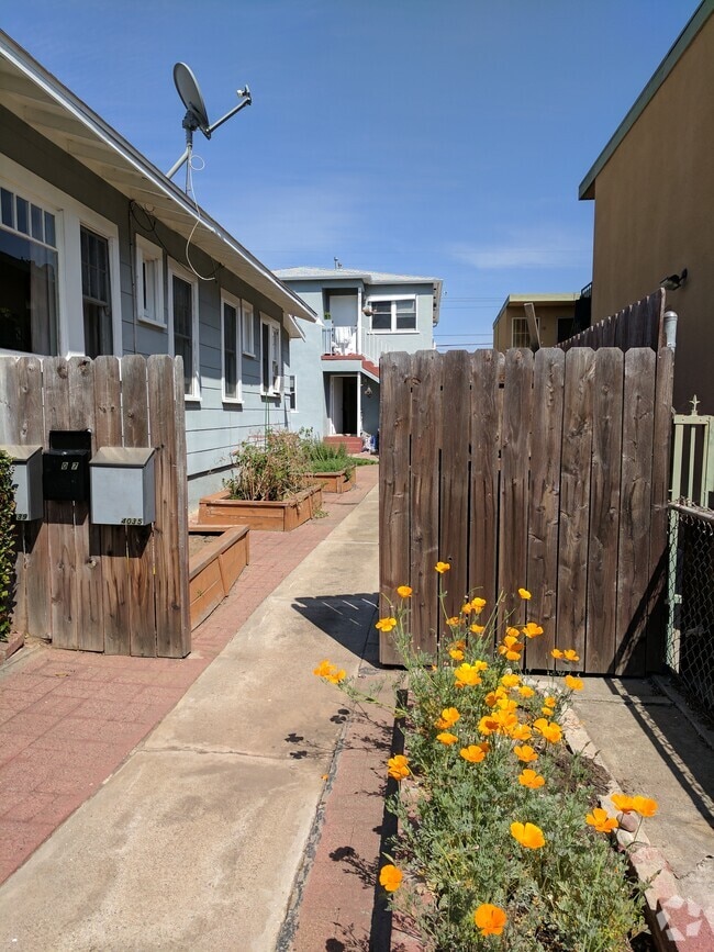 Building Photo - 4035 32nd St Unit 4039 Rental