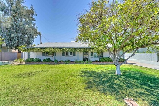 READY TO VIEW NOW! Stylish 4-Bed Arcadia L... - READY TO VIEW NOW! Stylish 4-Bed Arcadia L... Casa
