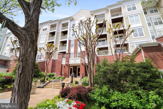 Photo - 1641 International Dr Unit 304